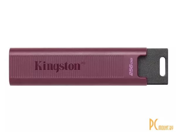 USB память Kingston DataTraveler Max 256GB () (USB 3.2) DTMAXA/256GB
